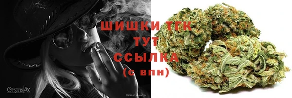 ПСИЛОЦИБИНОВЫЕ ГРИБЫ Лихославль