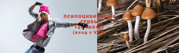 дурь Липки