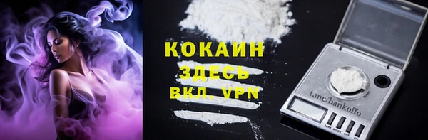 ПСИЛОЦИБИНОВЫЕ ГРИБЫ Лихославль