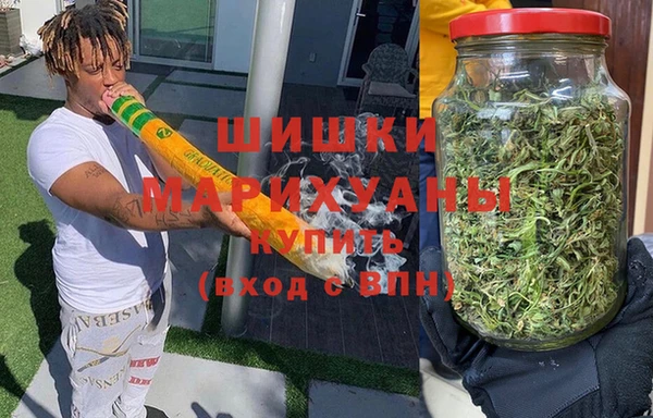 ПСИЛОЦИБИНОВЫЕ ГРИБЫ Лихославль
