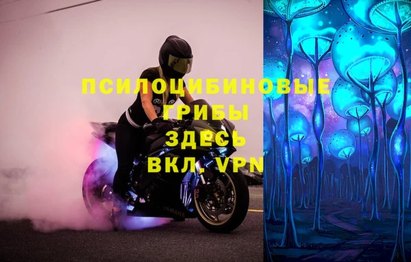 дурь Липки