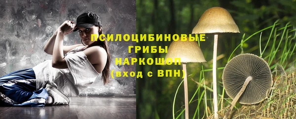 ПСИЛОЦИБИНОВЫЕ ГРИБЫ Лихославль