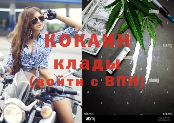 ПСИЛОЦИБИНОВЫЕ ГРИБЫ Лихославль