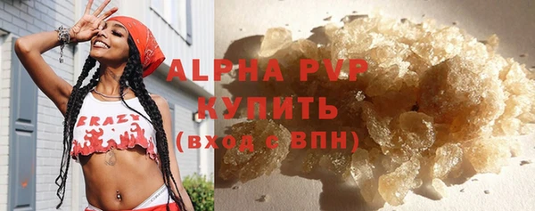 ПСИЛОЦИБИНОВЫЕ ГРИБЫ Лихославль