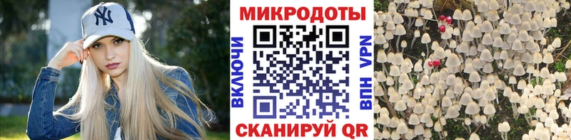 Галлюциногенные грибы мухоморы  Нюрба 
